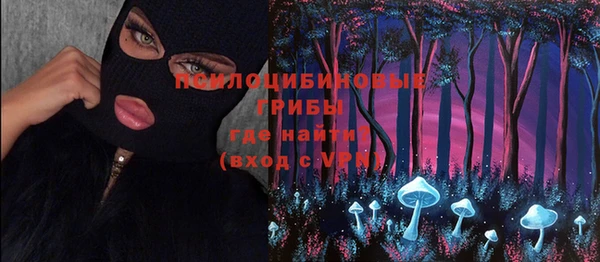 бутират Горняк