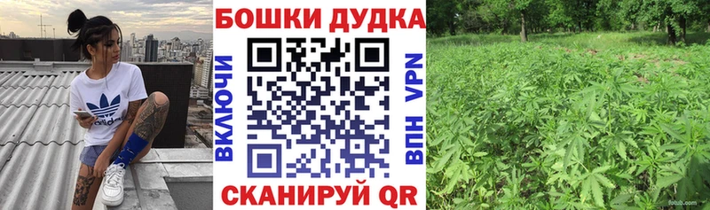 МАРИХУАНА конопля  Зерноград 